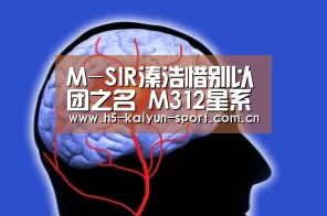 开云团队